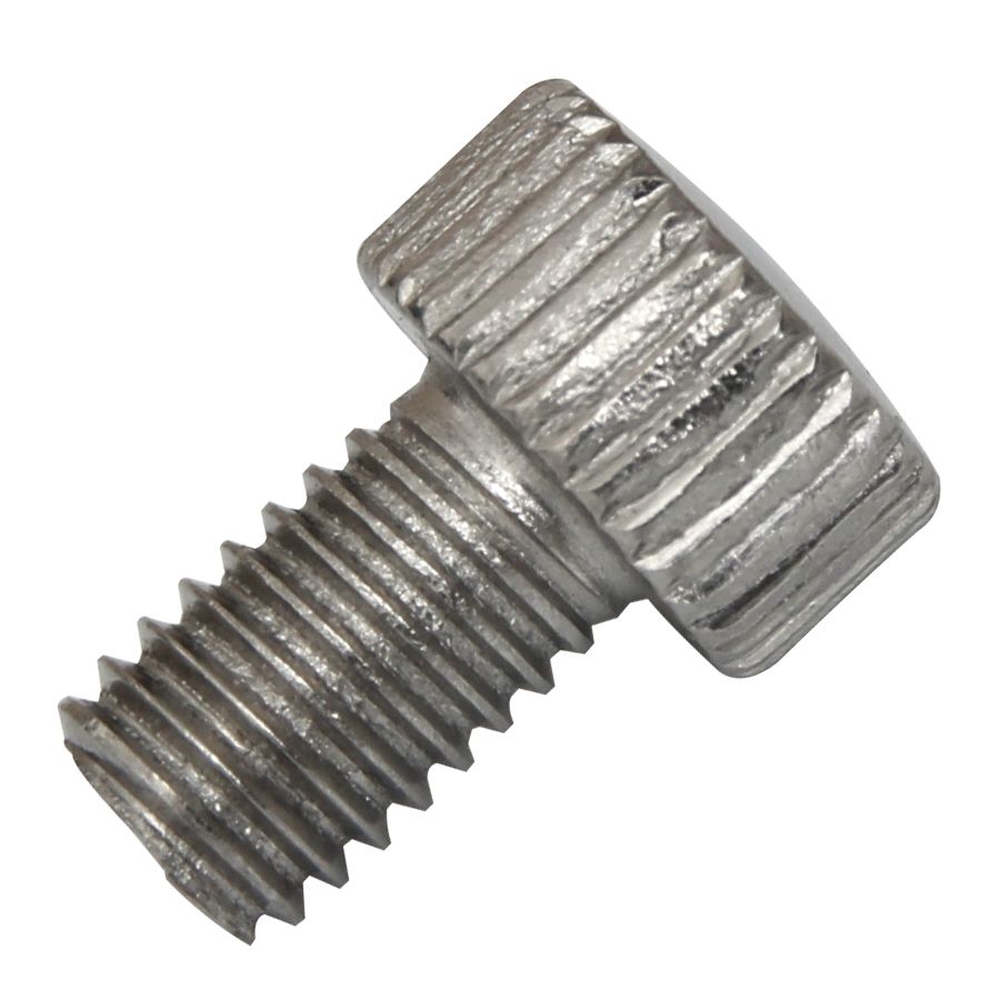 Back to Basics 220 Screen Screw #220-17A